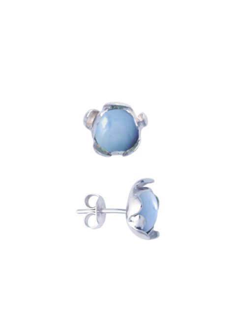Elegant blue earrings