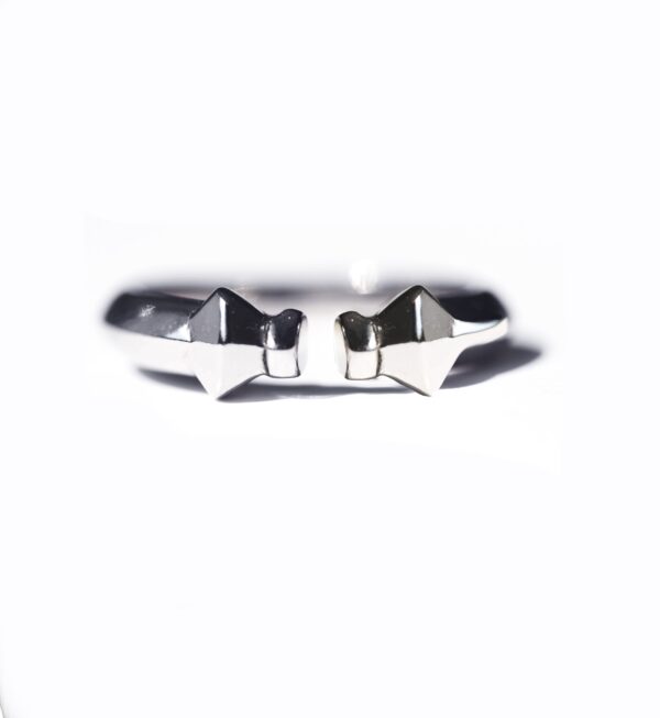 BOnes ring for men