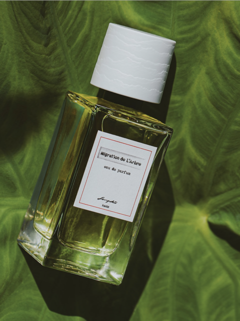 "MIGRATION DE L'ARBRE" perfume by Senyoko