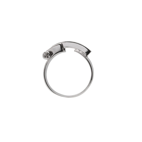 Dignity ring by Hyrv